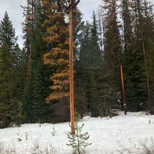 Meet your Posher, Bella